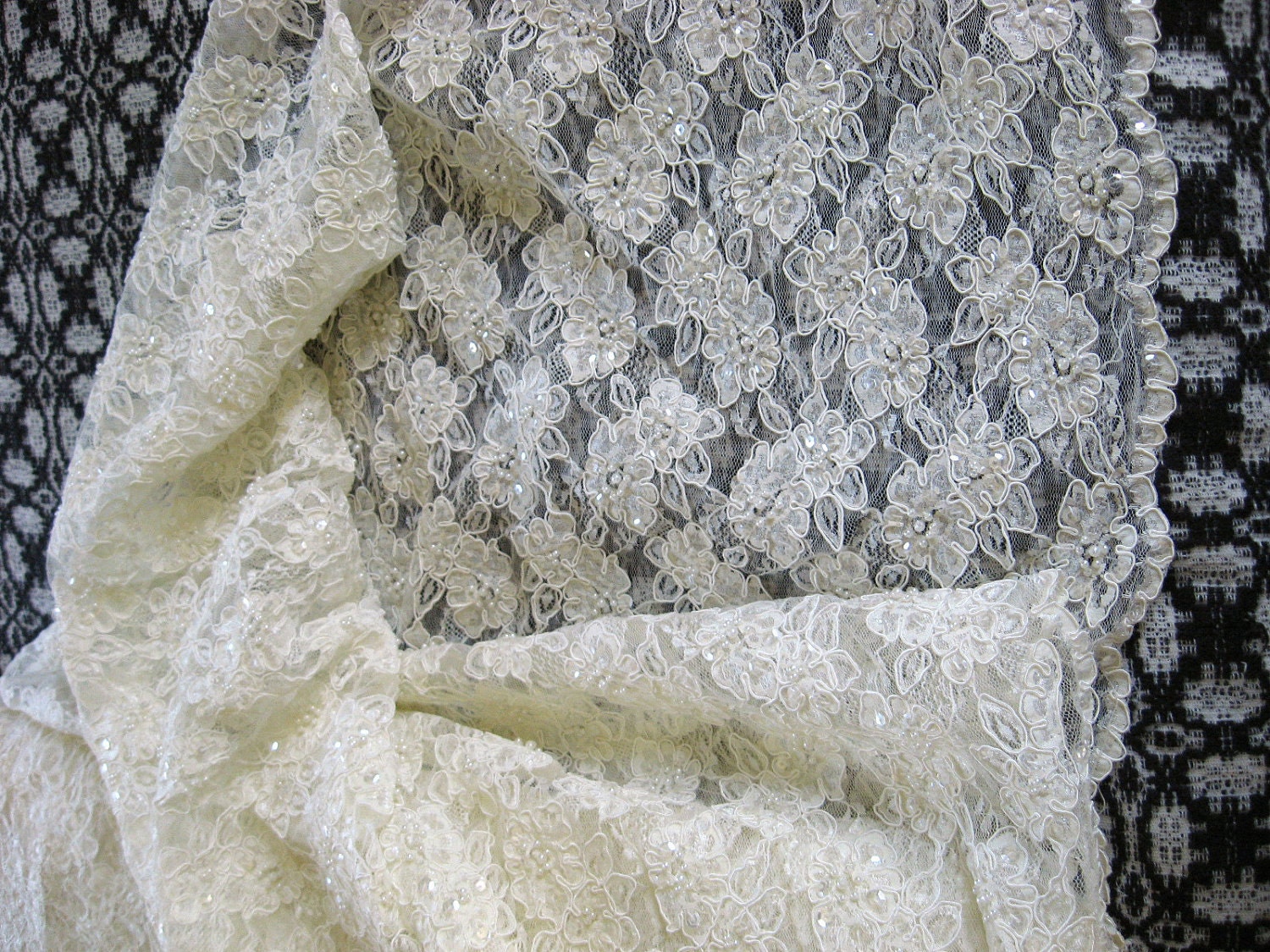 Pale Ivory or Off White Embellished Alencon Lace