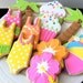 Pool Party Themed Decorated Cookies- Perfect for a Hawaiian Luau Summer Party Favor