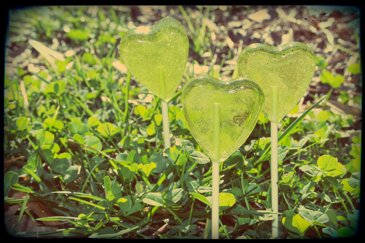 1/2 Order 3 Lollipops - Pears and Apples : Sweet with a hint of Tart - Weddings, St Patricks Day