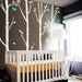 Birch Trees and Birds - Nursery Tree Wall Decal Sticker