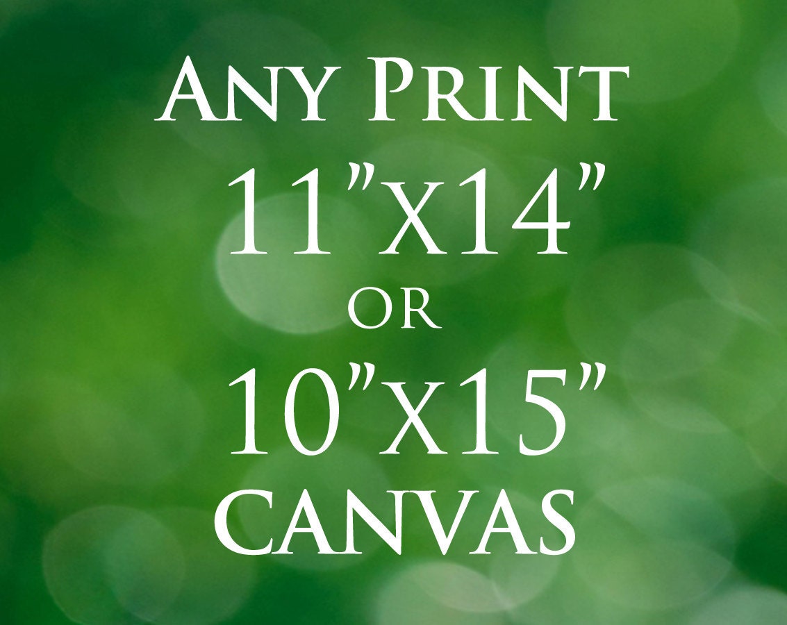 11x14 Print, 10x15 Print, Photography Prints Canvas or Photo Paper Rag, Fine Art Photography, Customizable Choose Any Photo