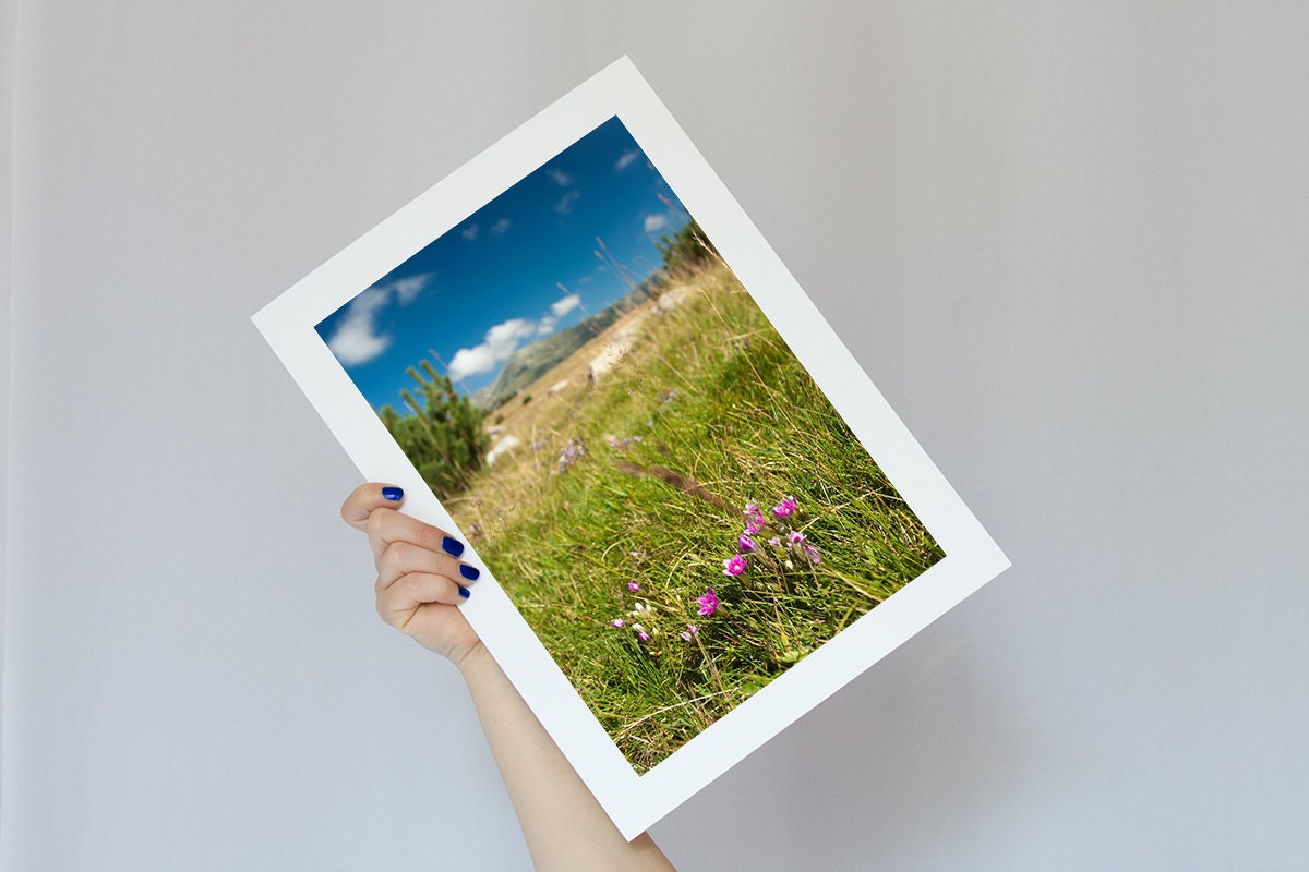 Flower Closeup Mountain Top View Scenary Photograph Canvas Print 10x8 or 12x8