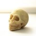 White Chocolate Skull