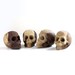 White Chocolate Skull