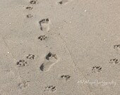 Fine Art Foot Prints of Best Friend and His Man In the Sand 5x7 8.5x11 notecard Beach Art