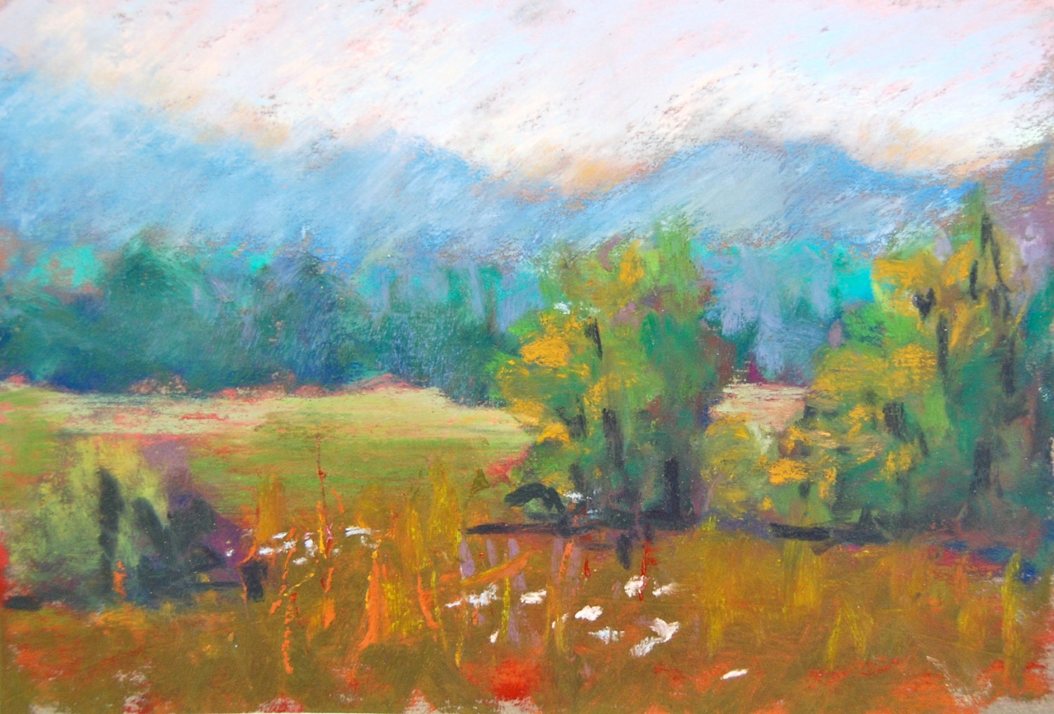 Mountain Field