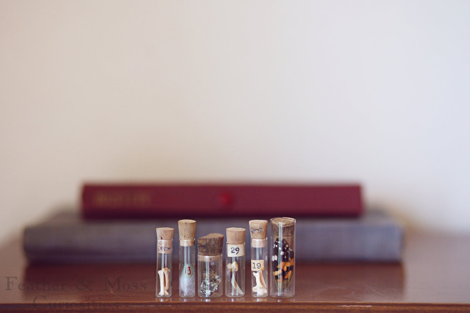Cabinet of curiosities. Vintage vials with leather case. Miniature curiosities.