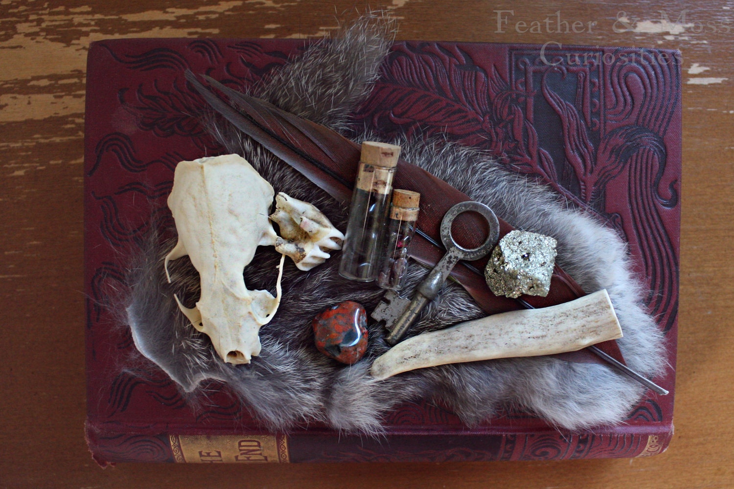 Natural History Collection Number 013. Rabbit fur, skeleton key, vintage vials, antler tip, pyrite, skull.