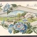 BRIGHT FLOWER POSTCARDS lot of 5 Vintage paper ephemera