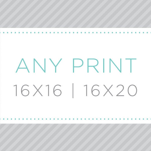 16 x 16 or 16 x 20 Print Size - Illustration of Your Choice - Archival Matte Digital Print