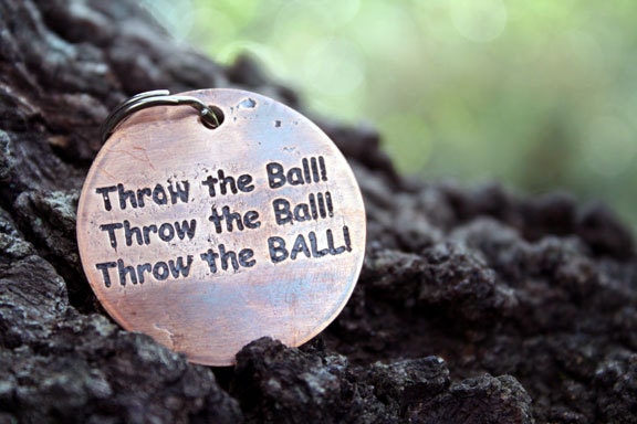 Pet I.D. Tag - Throw The Ball