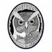 Oval Tree Owl