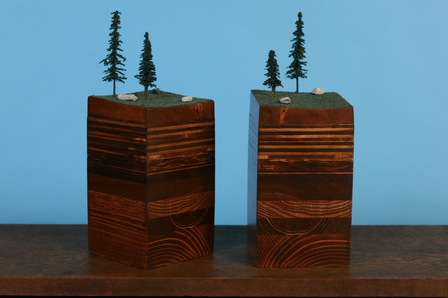 BookEnds of the Earth, Conifer Forest Series.