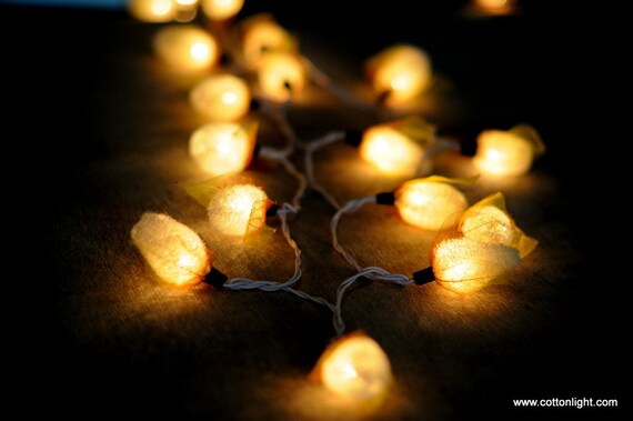 Cream Plant Garden Luffa Sponge indoor string light by cottonlight