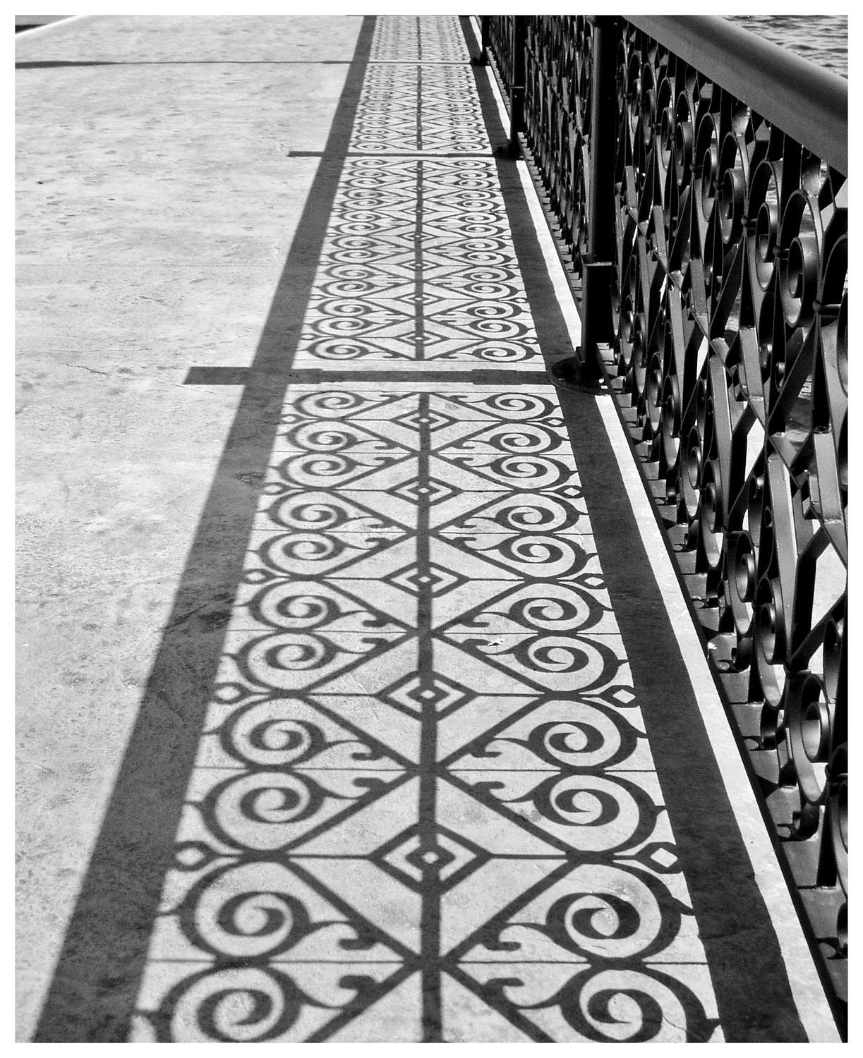 Shadow Photo 5x7 Signed Print Black and White Fence Wall Art