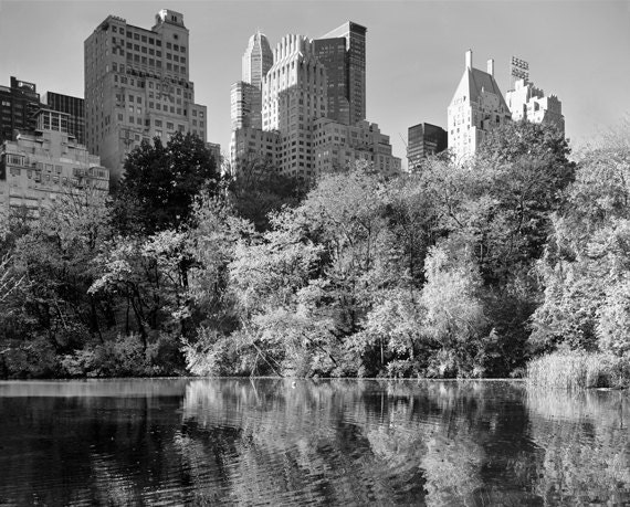 Central Park Autumn by the Pond