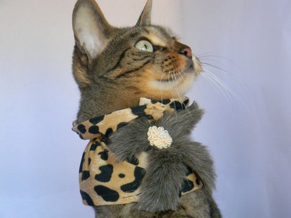 Furry Cheetah Collar by FiercePetFashion