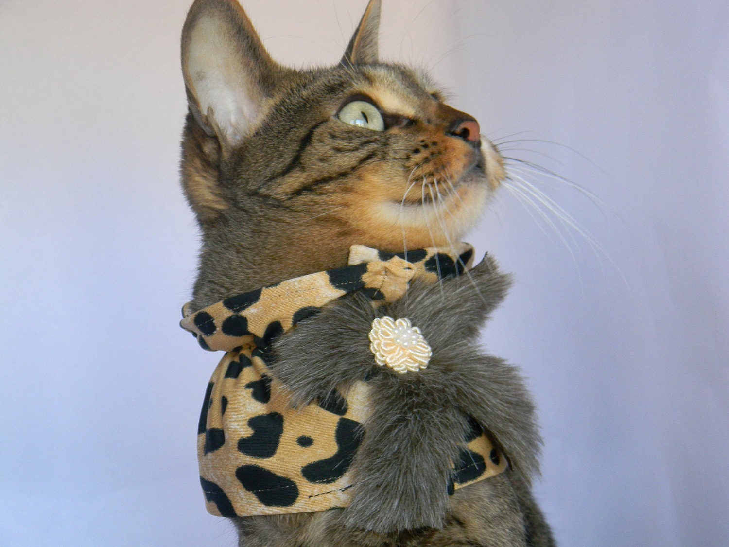 Furry Cheetah Collar by FiercePetFashion