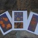 Greeting Cards - Plants, Citrus