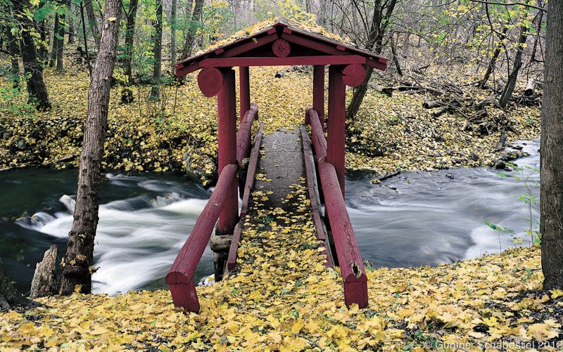 Bridge over Commerce Mill Race, Huron River, Fall Colors with yellow leaves Photography