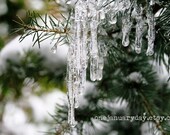 Landscape Photography - Winter Spell Art Print - 8x10