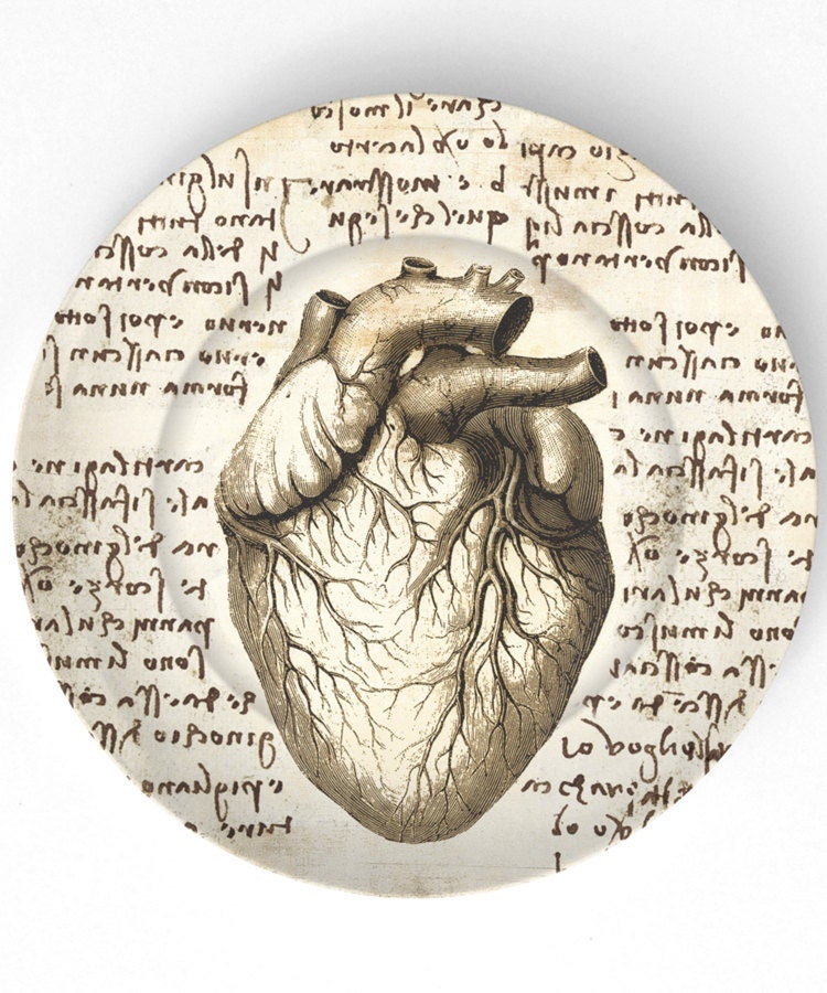 Heart Da Vinci