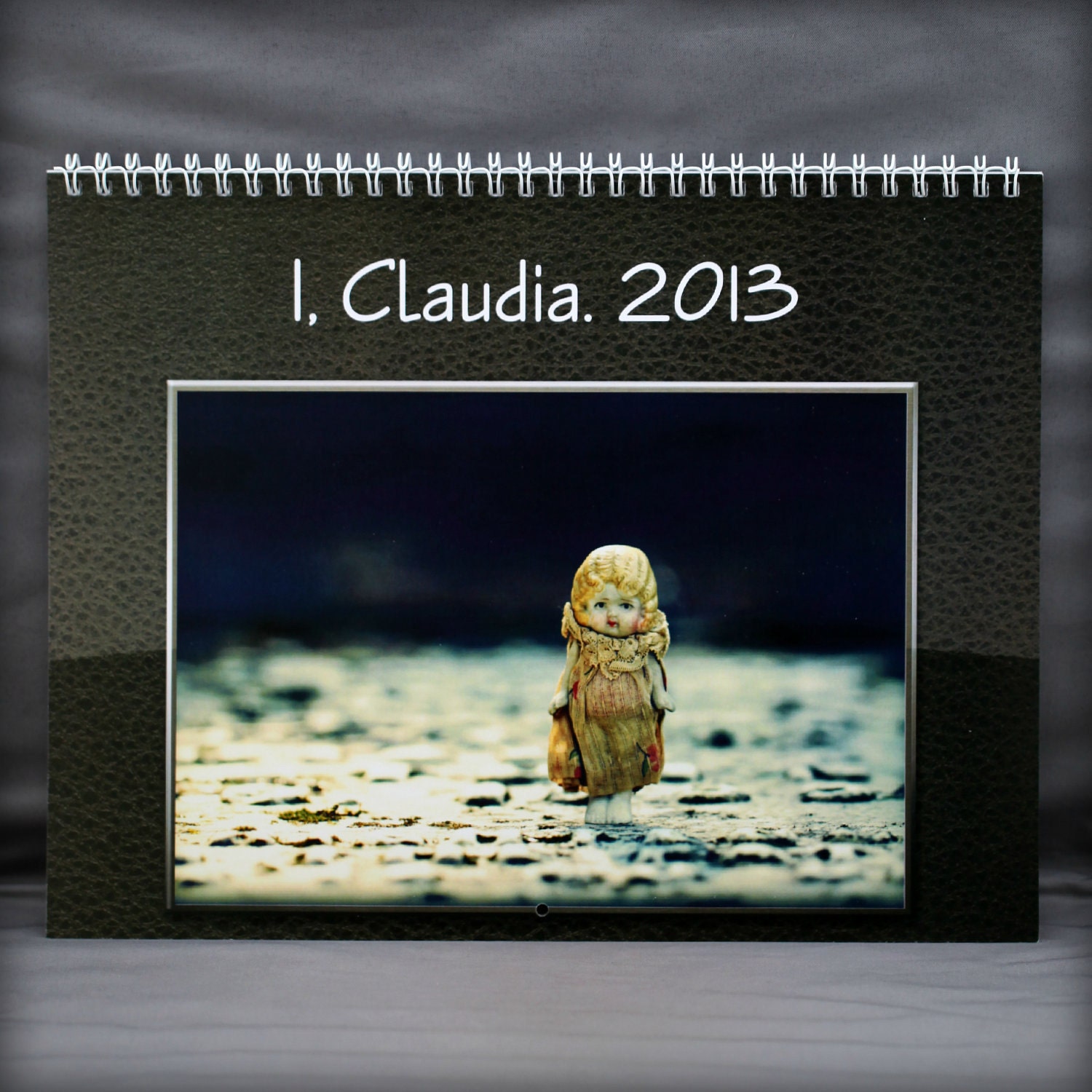 PIF Pay It Forward Adventures of Claudia Wall Calendar Yearly 2013 12 Month