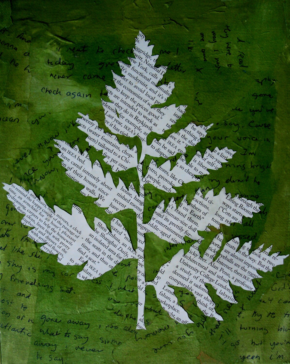 fern leaf