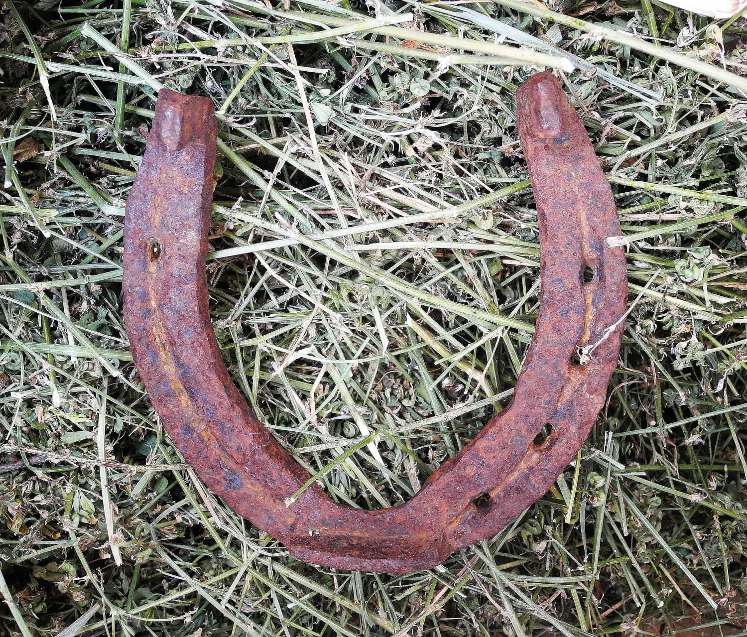 old horseshoe ..Amazing horseshoe, talisman, mascot from the USSR..horse