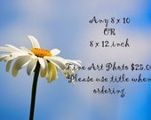 Any 8 x 10 inch or 8 x 12 inch  Fine Art Print 25.00. Please specify when ordering  photo custom gift present holiday birthday