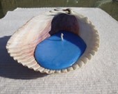 Seashell Candle, Ocean Breeze scented, Handmade in Sanibel Island Seashell