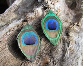 peacock earring