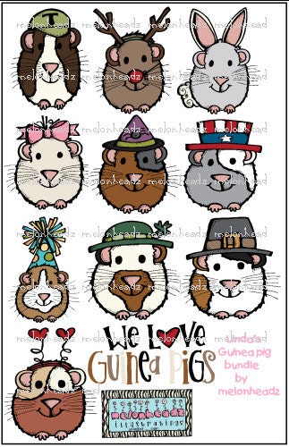 Lindas guinea pig bundle