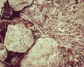 Natural Photography Landscape Nature The Stones 8x10 Print Wall Art Home Decor Unique