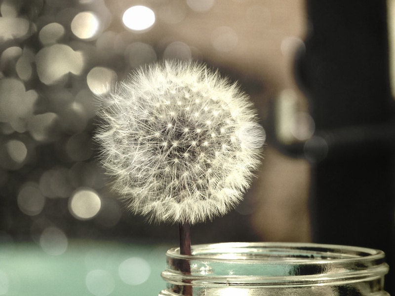 Dandelion in a Jar . retro color palette of brown beige and tiffany blue . whimsical wall art nursery decor .15x11. dreamy, cosmic, ethereal