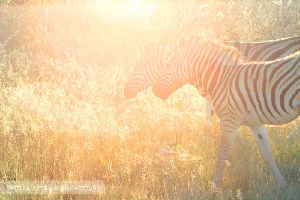 Into the Light - Fine Art Photography, 8x12 (A4)