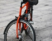 Red Bicycle - Fine Art Photograph, 8x12 (A4)