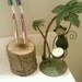 Rustic Toothbrush Holder, Personalized