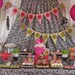 Zebra Sweet 16 DIY Party Printables Package. Hot Pink, Lime Green, Zebra prints. Party printables customized just for you.