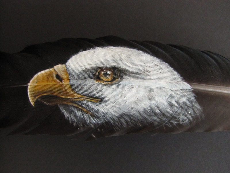 Bald Eagle Feather Painting Real Peacock Feather Wildlife Fine Art Danielle Trudeau