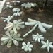 Stone Flowers Garden Art         Hand Chipped Sandstone Flower