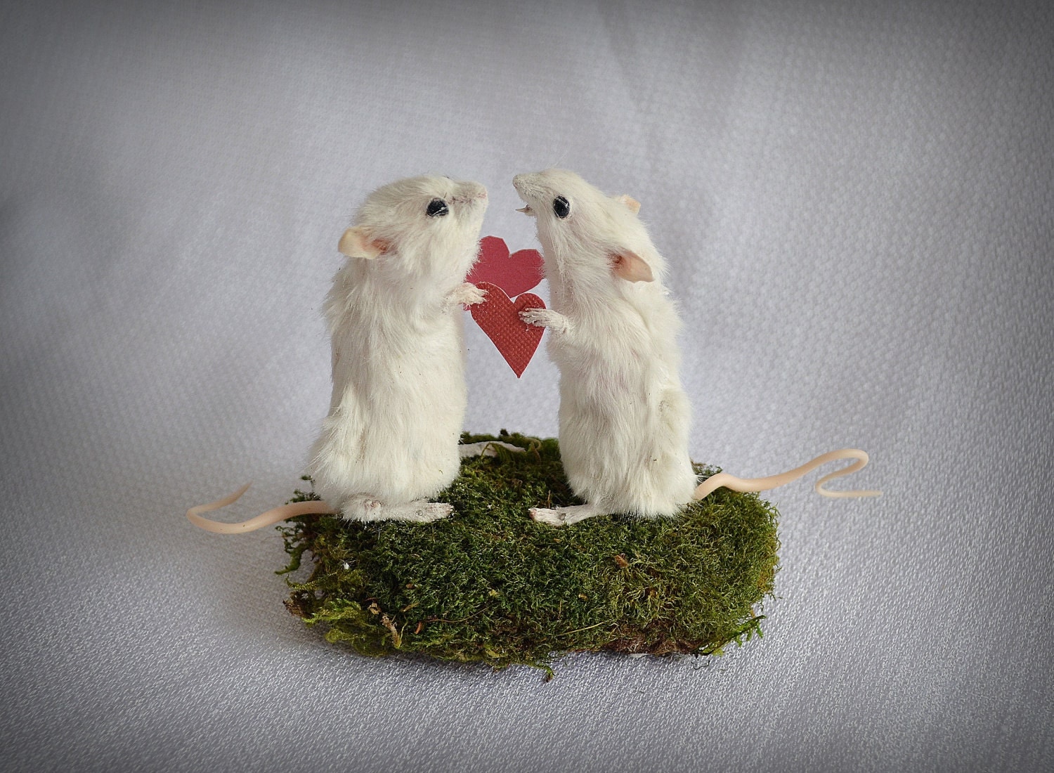 Anthropomorphic Taxidermy