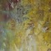 Forsythia Rearranged