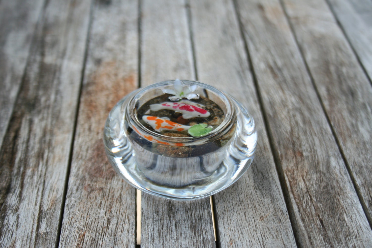 Miniature Koi Pond in Resin (paperweight)
