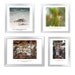 Animal photo set nursery decor print set butterfly horse bird donkey