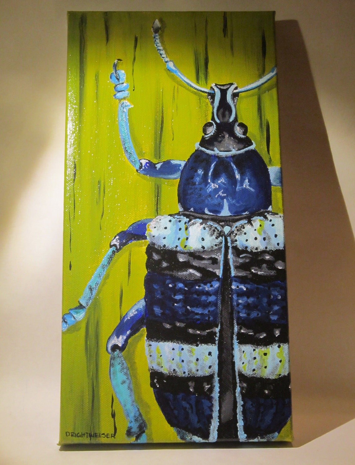 Blue Weevil Beetle