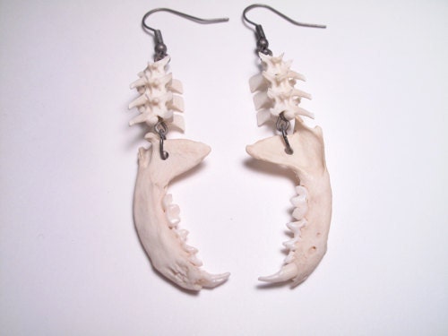 Fang Earrings Vampire Jewelry Goth Bone Jewelry Jawbone and vertebrae bone earrings Animal Bone Jewelry
