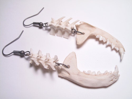 Fang Earrings Vampire Jewelry Goth Bone Jewelry Jawbone and vertebrae bone earrings Animal Bone Jewelry