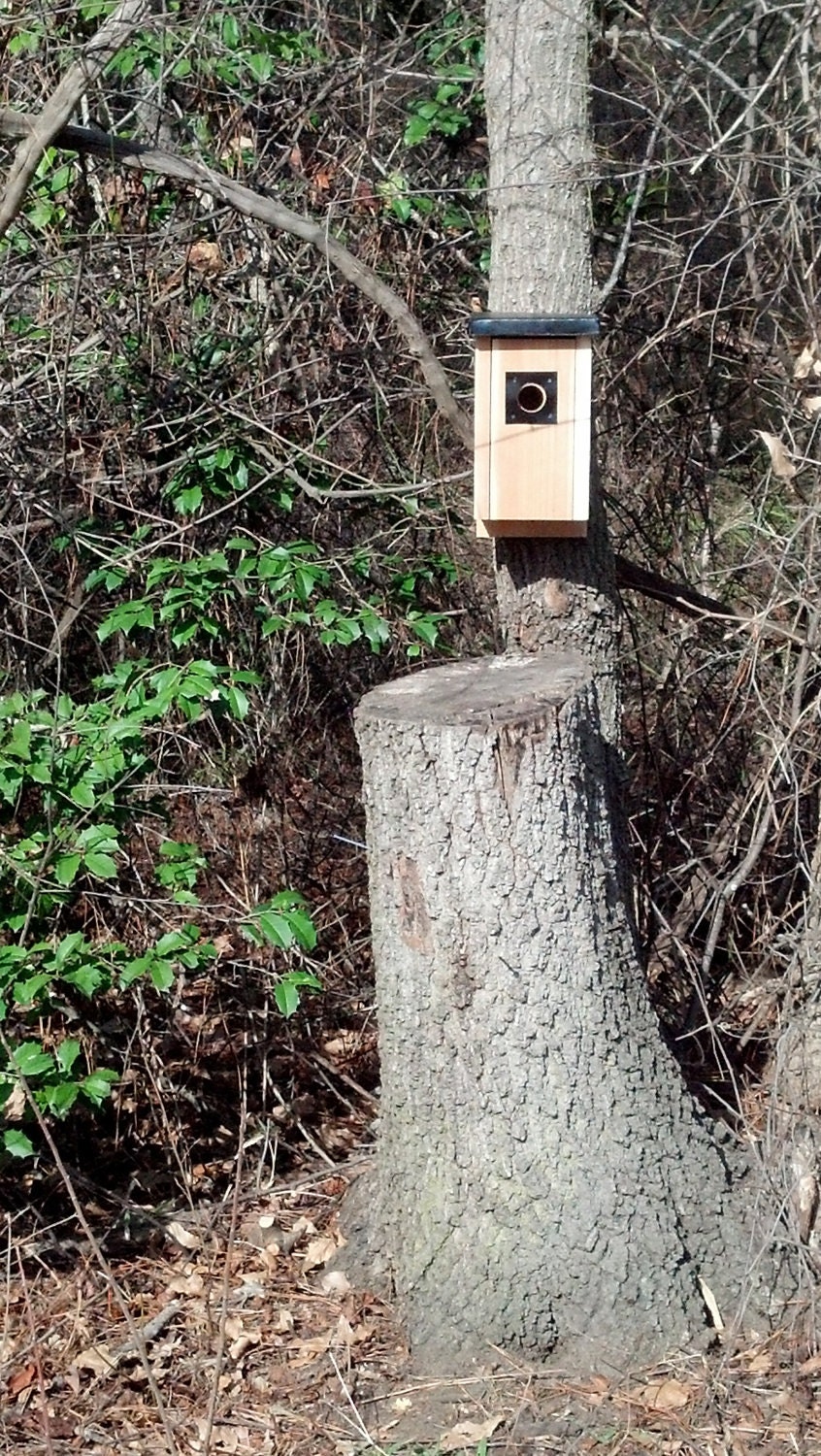 Cedar Bluebird Box