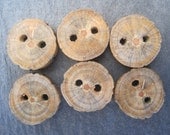 Small Rustic Wooden Tree Branch Buttons Wood Buttons. Perfect Accessory for Knitting, Crochet or Jewelry - Set of 6